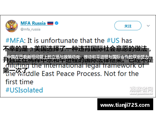 中国在巴勒斯坦问题上的立场与政策动向：推动和平进程与国际合作的双重努力