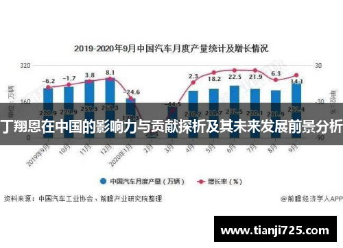 丁翔恩在中国的影响力与贡献探析及其未来发展前景分析