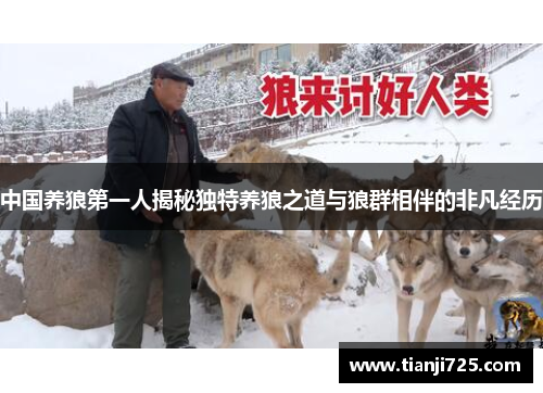 中国养狼第一人揭秘独特养狼之道与狼群相伴的非凡经历