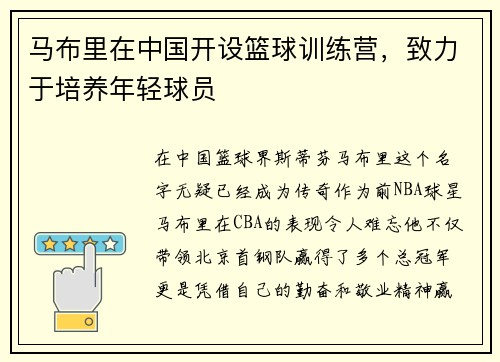马布里在中国开设篮球训练营，致力于培养年轻球员