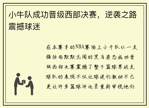 小牛队成功晋级西部决赛，逆袭之路震撼球迷